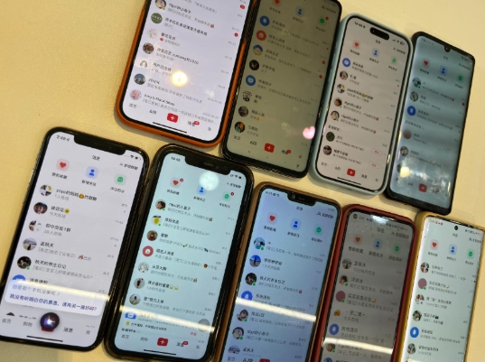 首发揭秘小红书私域日引500 创业粉四大模板，月入过W 全程干货!没有废话!保姆教程!